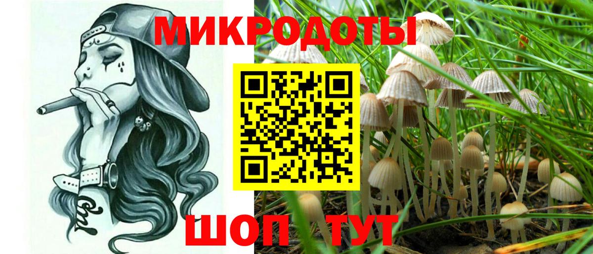 Псилоцибиновые грибы Magic Shrooms Арзамас